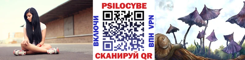 Купить закладки  Липецк  Галлюциногенные грибы прущие грибы 